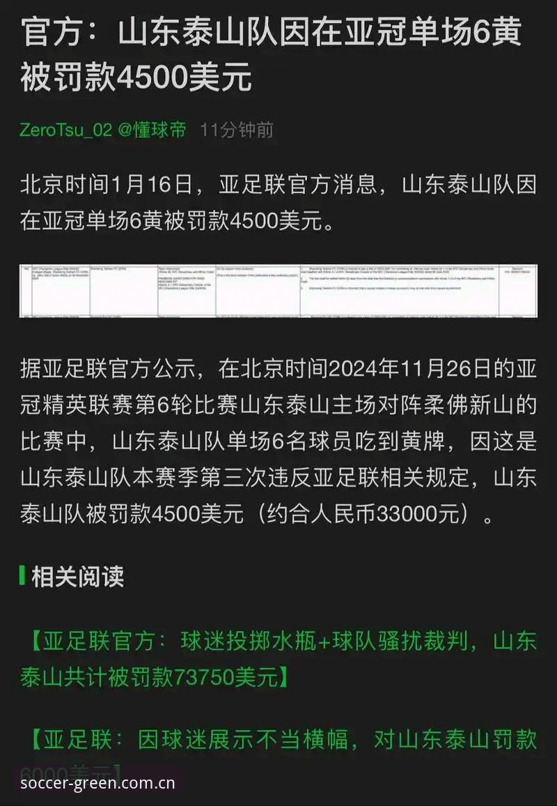 绿茵怎么样 中国足协第三批禁足名单深度解析:65人受罚背后,绿茵平台上如何看懂这场风暴?