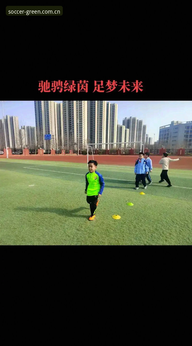最新绿茵下载安装 绿茵体育平台最新版v2.0.5全面解析:下载安装与实战操作指南