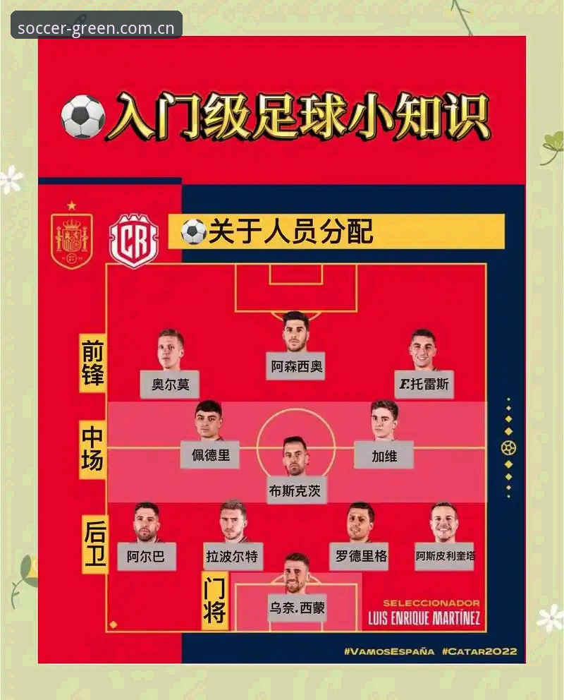 绿茵赛事直播常见问题详解：从入门到精通的使用指南